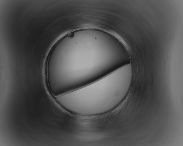 X0000099571142200805160720