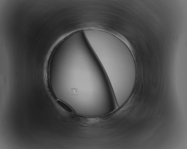 X0000099571144200805160720