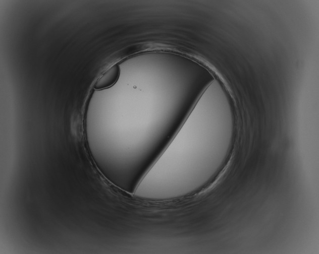 X0000099571145200805160721