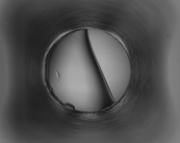 X0000099571147200805160721