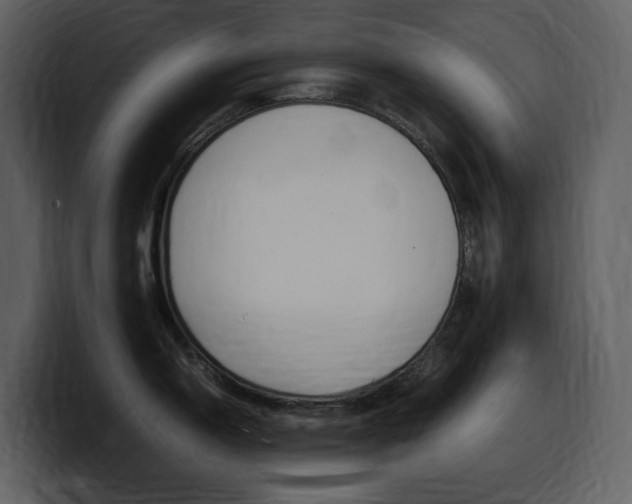 X0000099571150200805160721