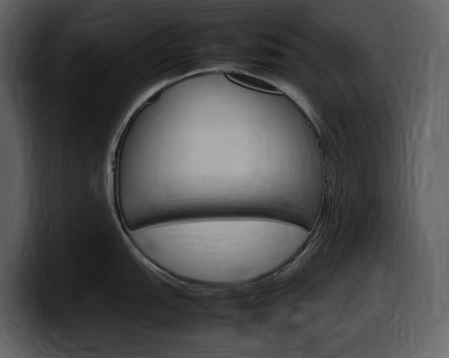 X0000099571151200805160721
