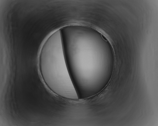X0000099571152200805160721