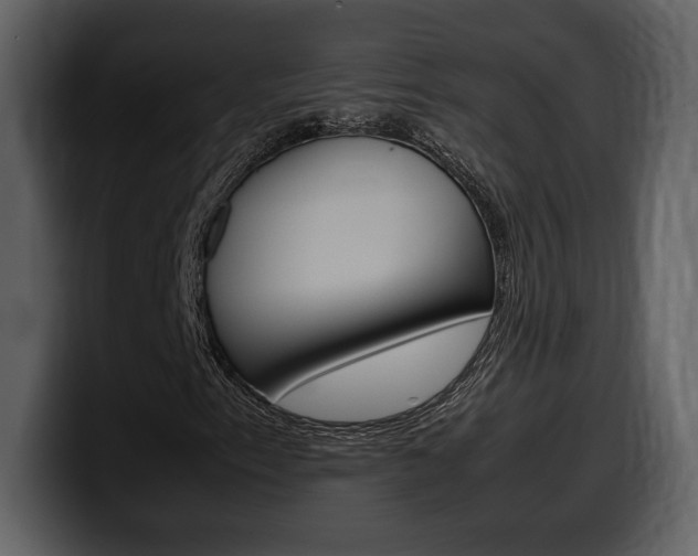 X0000099571153200805160720