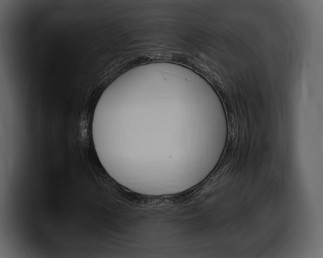 X0000099571154200805160720