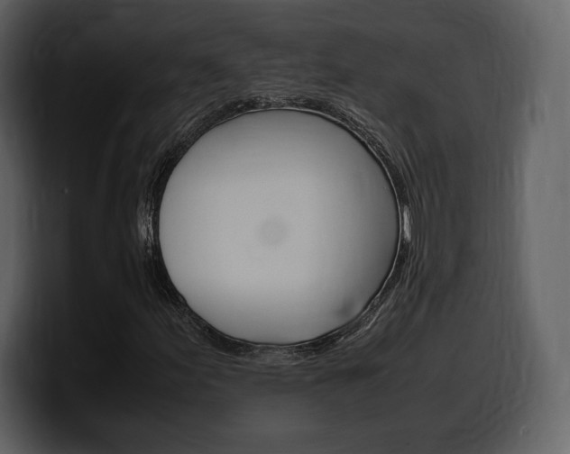 X0000099571155200805160720