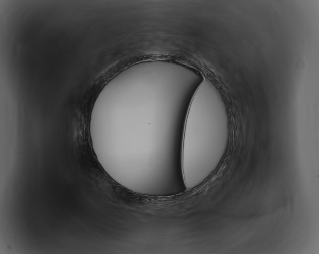 X0000099571158200805160720