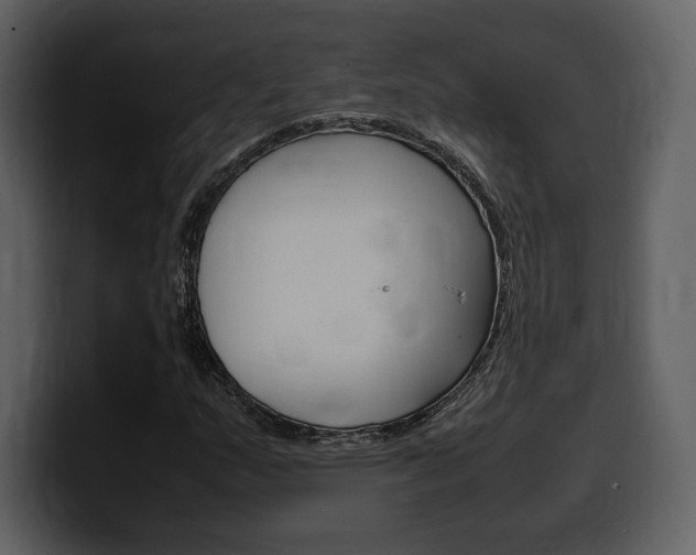 X0000099571159200805160720