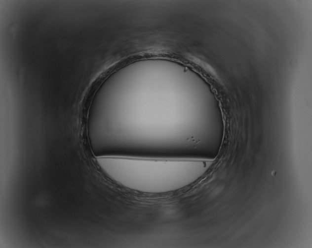 X0000099571160200805160720