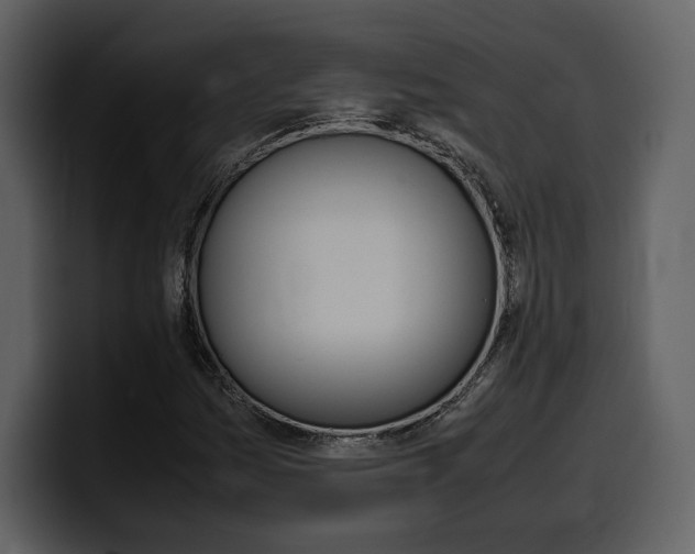 X0000099571161200805160720