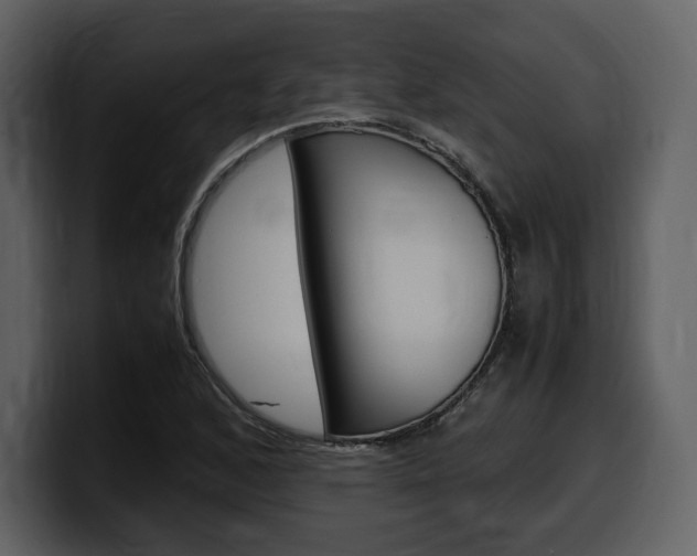 X0000099571168200805160720
