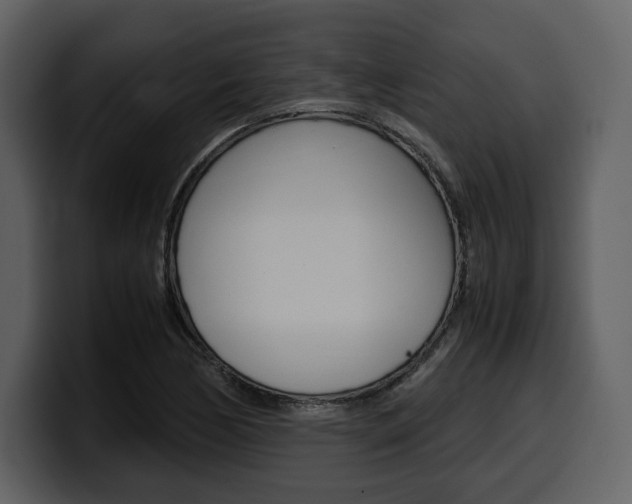 X0000099571170200805160720