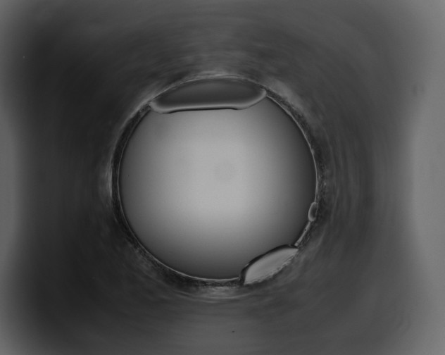 X0000099571173200805160720