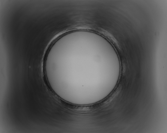 X0000099571174200805160720