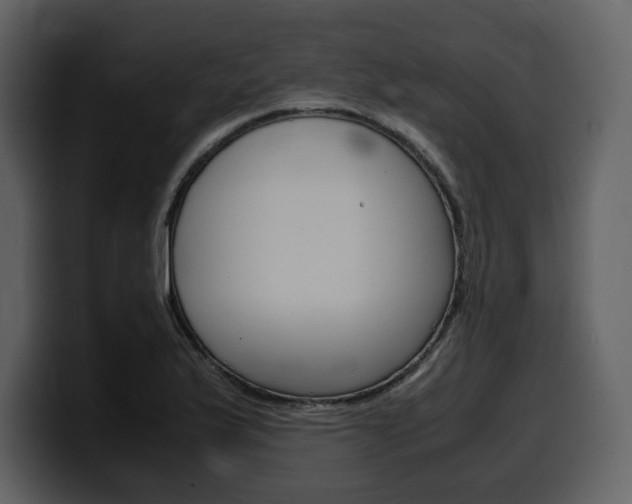 X0000099571175200805160720