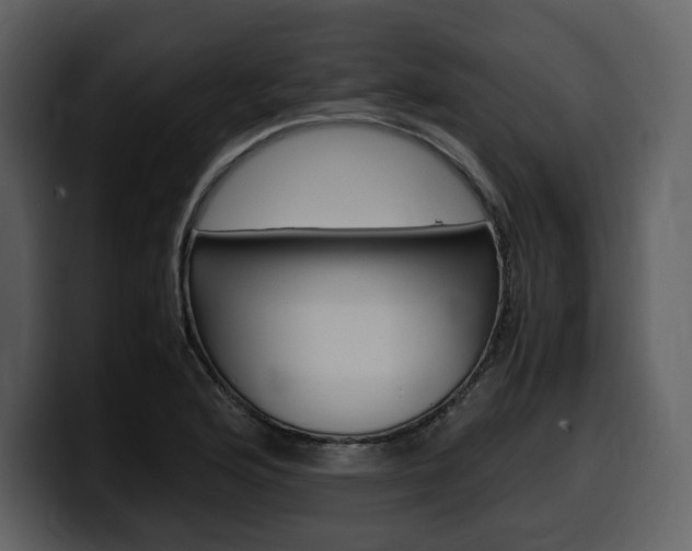 X0000099571176200805160720