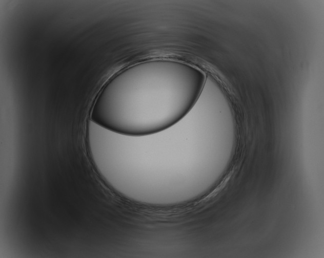 X0000099571177200805160720