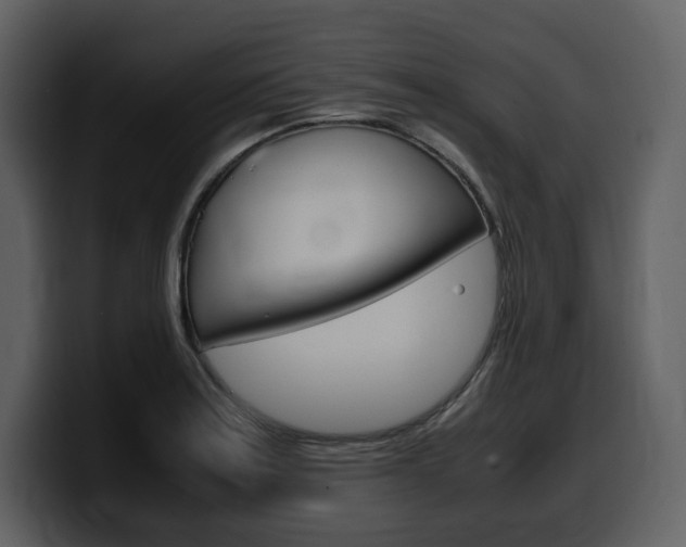 X0000099571179200805160720