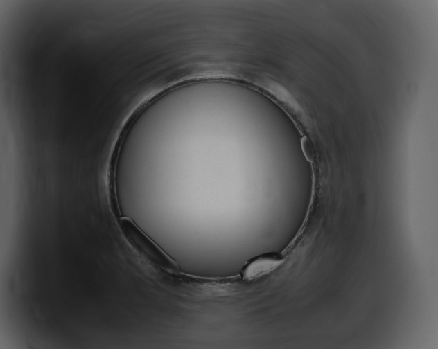 X0000099571181200805160720