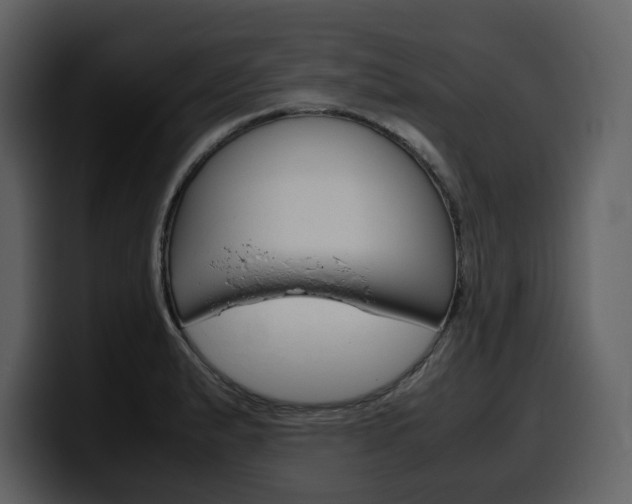 X0000099571183200805160720