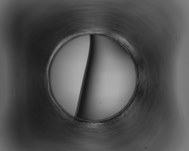X0000099571184200805160720