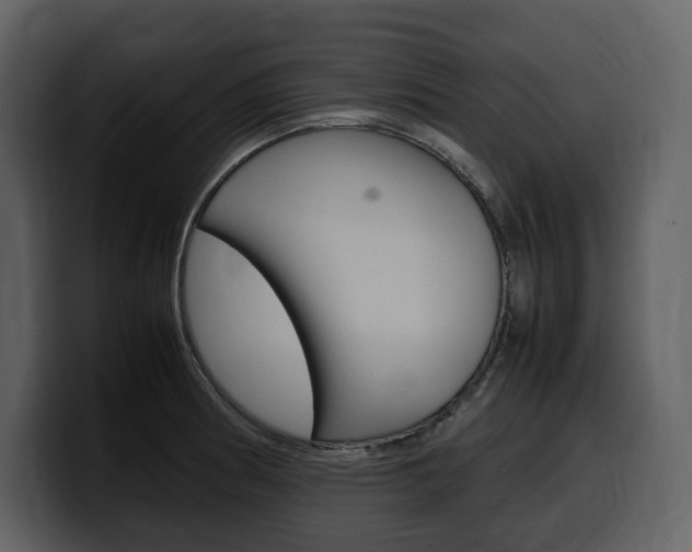 X0000099571186200805160720