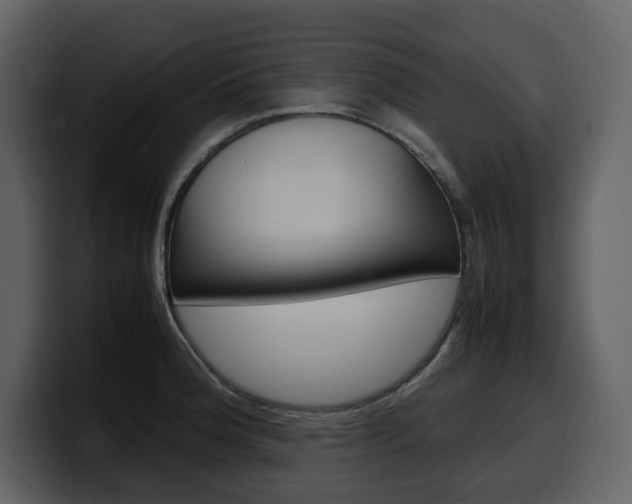 X0000099571188200805160720