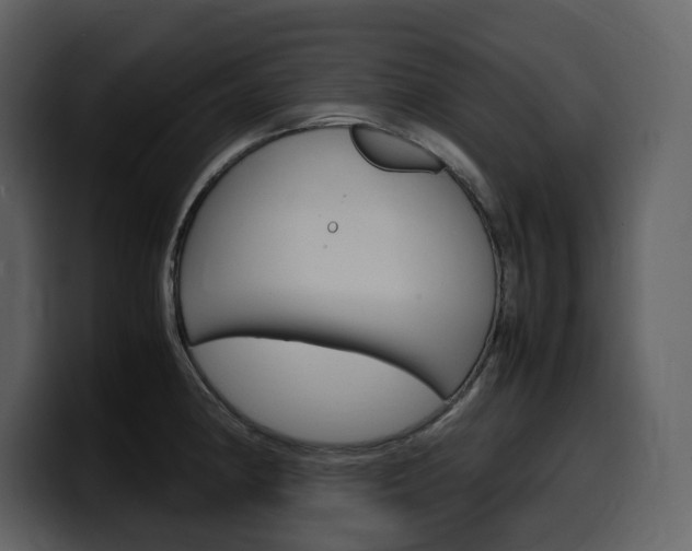 X0000099571190200805160720