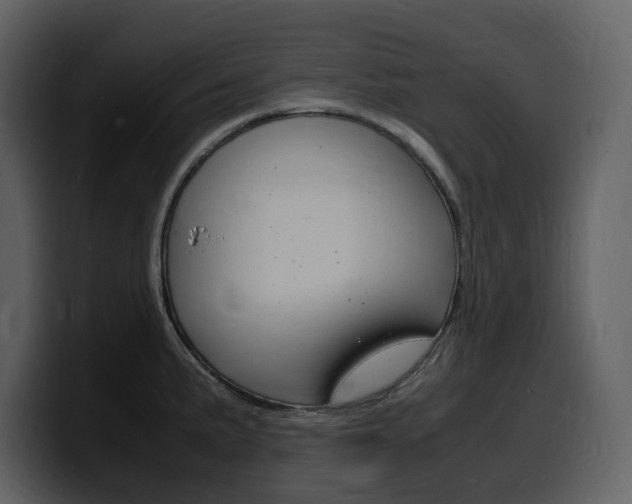 X0000099571191200805160719