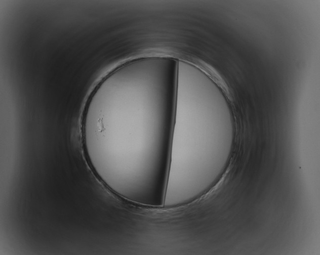 X0000099571192200805160719