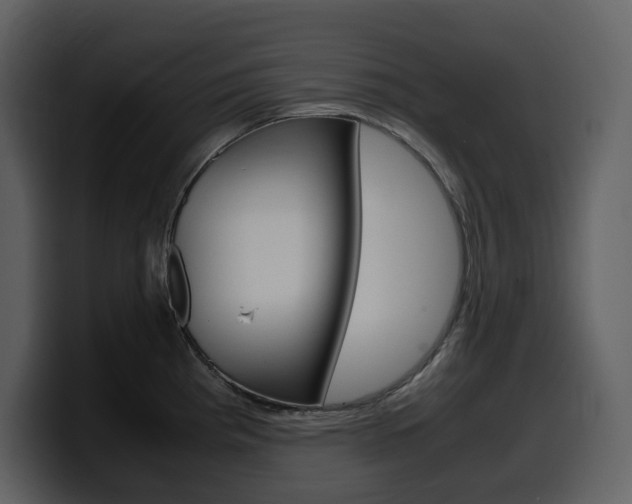 X0000099571193200805160719