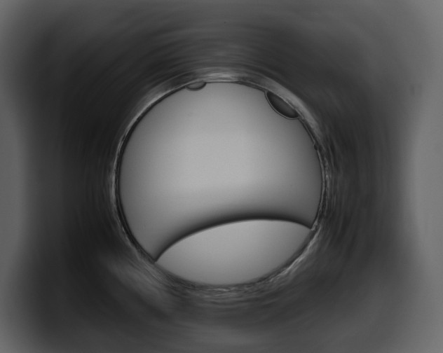 X0000099571194200805160719