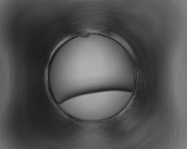 X0000099571198200805160719