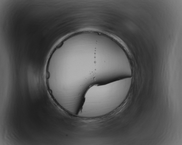 X0000099571199200805160719
