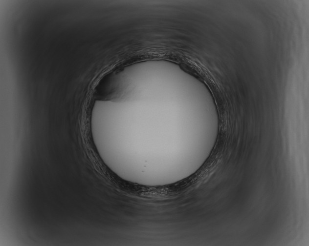 X0000099571201200805160719