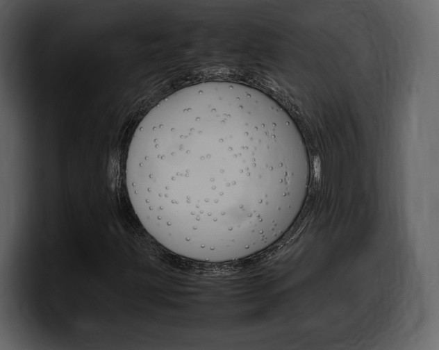 X0000099571203200805160719