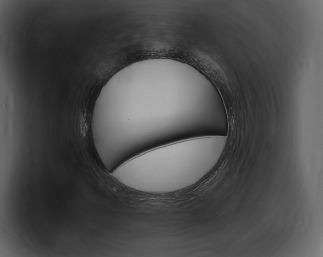 X0000099571204200805160719