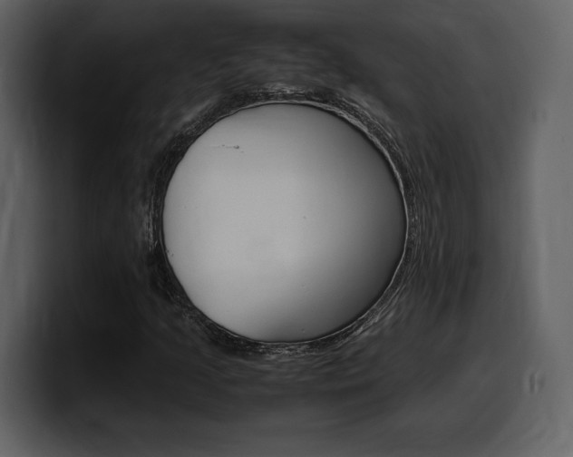 X0000099571205200805160719