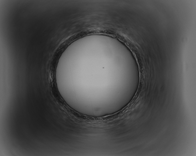 X0000099571206200805160719