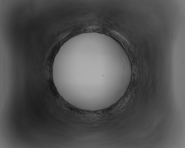 X0000099571207200805160719