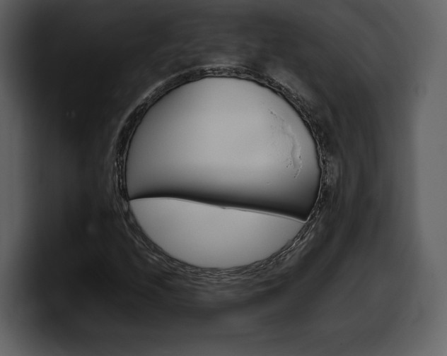 X0000099571208200805160719