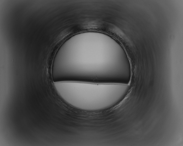 X0000099571209200805160719