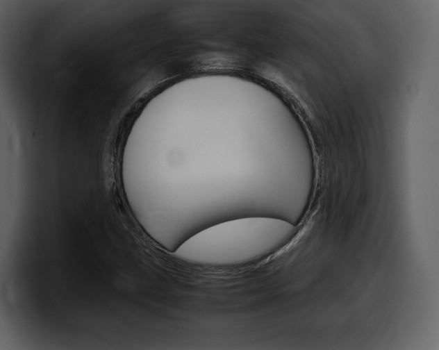 X0000099571211200805160719
