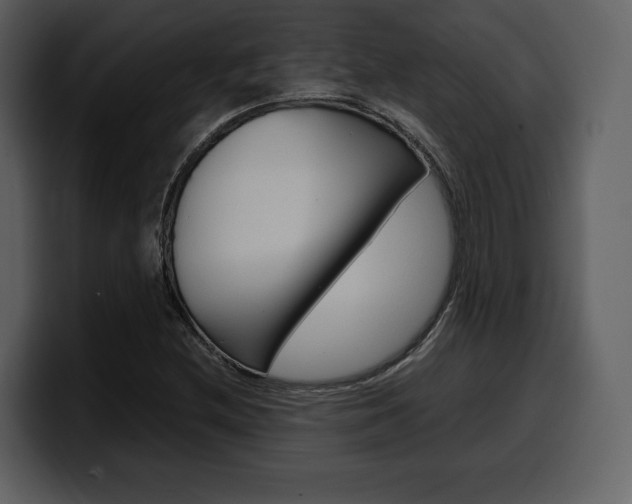X0000099571212200805160719