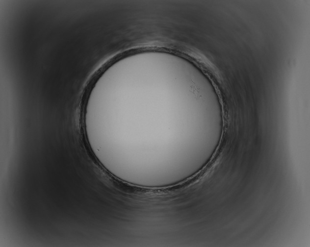 X0000099571216200805160719