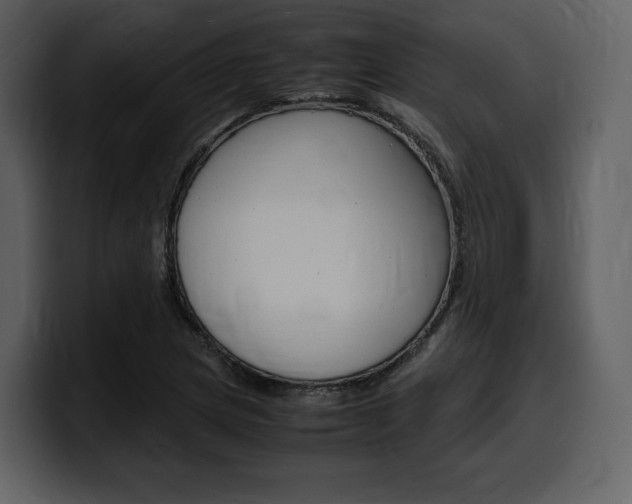 X0000099571217200805160719