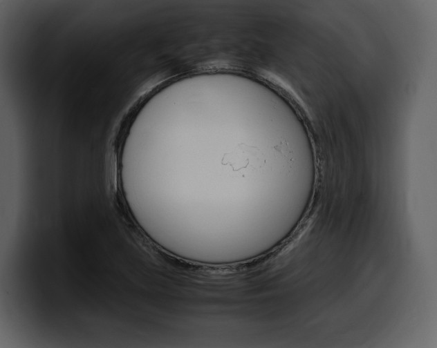 X0000099571219200805160719
