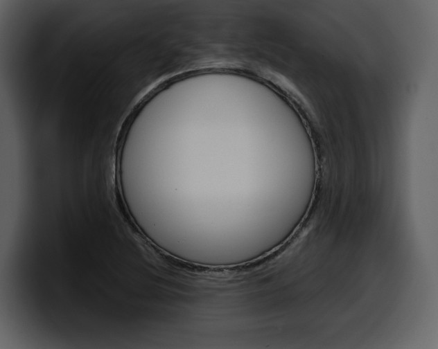 X0000099571220200805160719