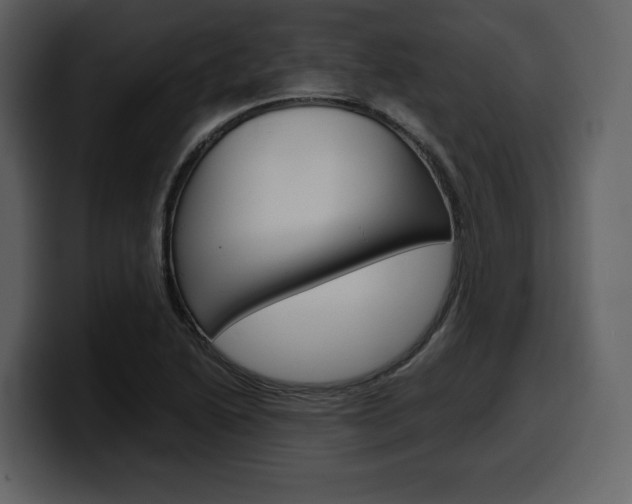 X0000099571222200805160719