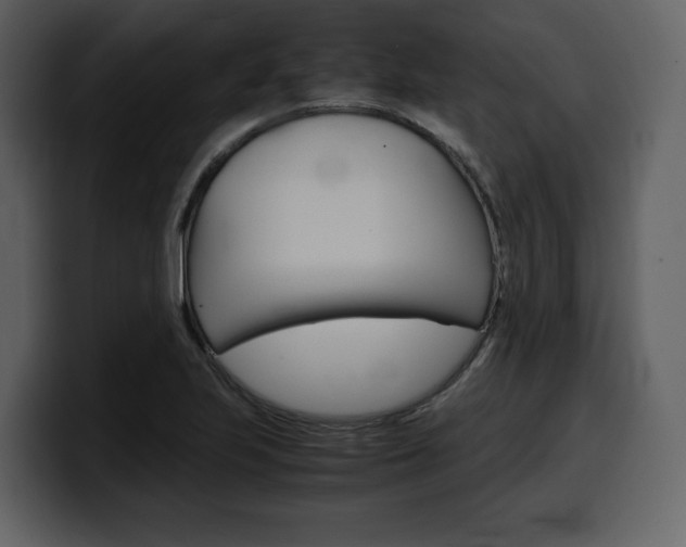 X0000099571223200805160719